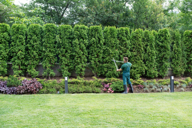 Trusted Grant Park, IL Tree Care Services Experts